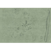 Панно Tecnografica, коллекция Collection 2021, артикул 78690-4