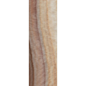 Итальянские обои Tecnografica, коллекция Decorative Panels, артикул 48079-4