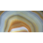 Панно Tecnografica, коллекция Decorative Panels, артикул 59456-2