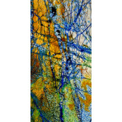 Итальянские обои Tecnografica, коллекция Decorative Panels, артикул 71335-2