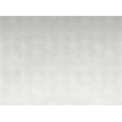 Итальянские обои Tecnografica, коллекция Superminimal, артикул 77137-4