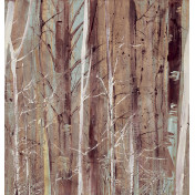 Итальянские обои Texam, коллекция Raw, артикул RWD22