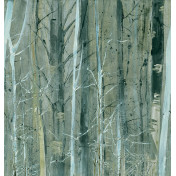 Итальянские обои Texam, коллекция Raw, артикул RWD28