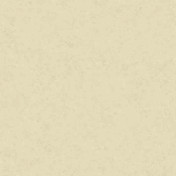 Английские обои The Paper Partnership, коллекция University of Oxford Archives vol.2, артикул WP0090606