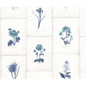 Английские обои The Paper Partnership, коллекция University of Oxford Archives vol.2, артикул WP0090901