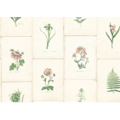 Английские обои The Paper Partnership, коллекция University of Oxford Archives vol.2, артикул WP0090903