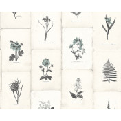 Английские обои The Paper Partnership, коллекция University of Oxford Archives vol.2, артикул WP0090904