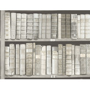 Английские обои The Paper Partnership, коллекция University of Oxford Archives vol.2, артикул WP0091401