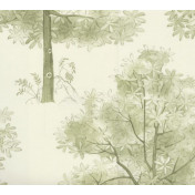 Английские обои The Royal Collection, коллекция Rosa Chinensis, артикул PQ008/03