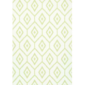 Американские обои Thibaut, коллекция Caravan, артикул T64140