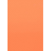 Американские обои Thibaut, коллекция Caravan, артикул T64175