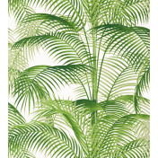 Американские обои Thibaut, коллекция Palm Grove, артикул T13938