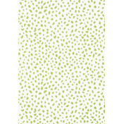 Американские обои Thibaut, коллекция Resort, артикул T16012