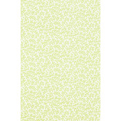 Американские обои Thibaut, коллекция Richmond, артикул T4187