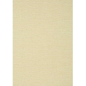 Американские обои Thibaut, коллекция Texture Resource 7, артикул TWW10962