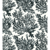 Американские обои Thibaut, коллекция Tropics, артикул T10123