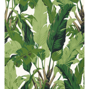 Американские обои Thibaut, коллекция Tropics, артикул T10127