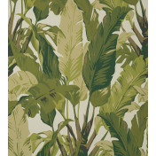 Американские обои Thibaut, коллекция Tropics, артикул T10131