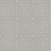 Бельгийские обои Tiffany Designs, коллекция Egoist, артикул EG403