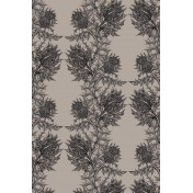 Английские обои Timorous Beasties, коллекция Stock, артикул HS/THL/4008/09