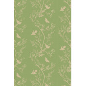 Английские обои Timorous Beasties, коллекция Studio, артикул EX/BBS/5002/08