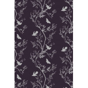 Английские обои Timorous Beasties, коллекция Studio, артикул EX/BBS/5004/10