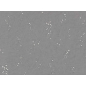 Английские обои Villa Nova, коллекция Kyra Cane, артикул W627/02