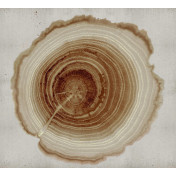 Итальянские обои Wall & Deco, коллекция Contemporary Wallpaper Collection, артикул WDEE2102