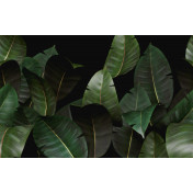 Итальянские обои Wall & Deco, коллекция Contemporary Wallpaper Collection, артикул WDZA2102