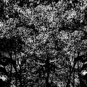 Итальянские обои Wall & Deco, коллекция Out System 2020, артикул OUTTB2001