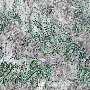 Итальянские обои Wall & Deco, коллекция Wet System 2020, артикул WETGM2001