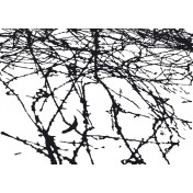 Панно Wall & Deco, коллекция 2011, артикул BBRE1102