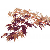 Панно Wall & Deco, коллекция 2011, артикул BBWC1102