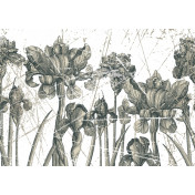 Панно Wall & Deco, коллекция 2011, артикул WDHE1101