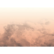 Панно Wall & Deco, коллекция 2013, артикул WDPM1303