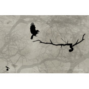 Панно Wall & Deco, коллекция 2014, артикул GPW1416