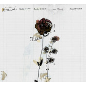 Панно Wall & Deco, коллекция 2014, артикул WDMI1402-A