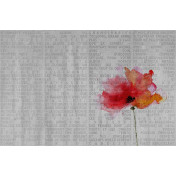 Панно Wall & Deco, коллекция 2016, артикул WDVO1602-B