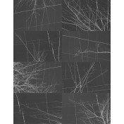 Панно Wall & Deco, коллекция Collection 2017, артикул WDBH1703