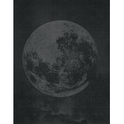 Панно Wall & Deco, коллекция Collection 2017, артикул WDLU1703