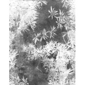 Панно Wall & Deco, коллекция Collection 2018, артикул WDVI1802