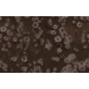 Итальянские обои Wall & Deco, коллекция Contemporary Wallpaper Collection, артикул WDDD2002