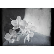 Итальянские обои Wall & Deco, коллекция Contemporary Wallpaper Collection, артикул WDLY2001