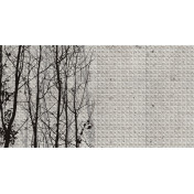 Панно Wall & Deco, коллекция Wet System 2015, артикул WET_FG1502