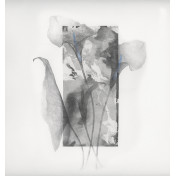 Панно Wall & Deco, коллекция Wet/Out System 2019, артикул WETGP1902