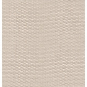 Российские обои Yana Svetlova Wallcoverings, коллекция Antivandal Wallcoverings, артикул AV-14