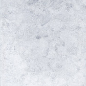 Российские обои Yana Svetlova Wallcoverings, коллекция Gold Leaf, артикул 19-1280