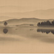 Панно Yana Svetlova Wallcoverings, коллекция Grace, артикул N16-L16