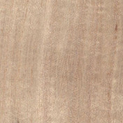 Российские обои Yana Svetlova Wallcoverings, коллекция Paulownia, артикул G0121NV1014