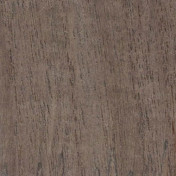 Российские обои Yana Svetlova Wallcoverings, коллекция Paulownia, артикул G0121NV1015